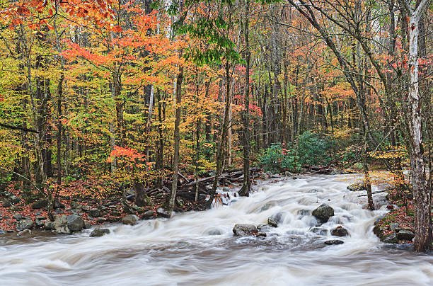 outono caem nas montanhas smoky panorâmica - rapid appalachian mountains autumn water - fotografias e filmes do acervo