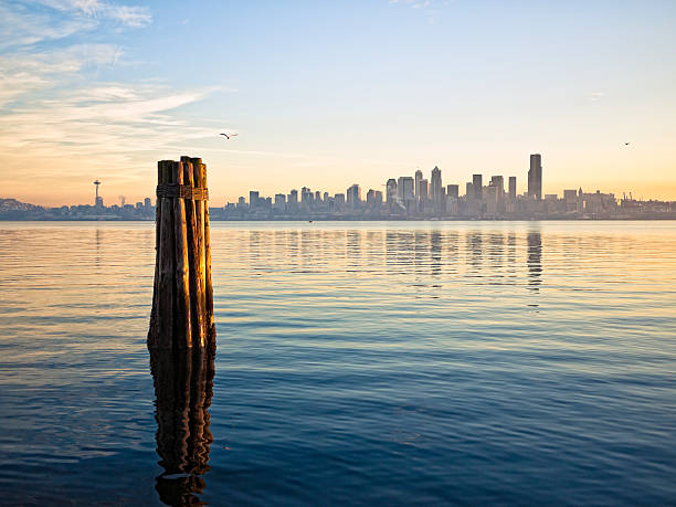 Downtown Seattle Skyline  puget sound stock pictures, royalty-free photos & images