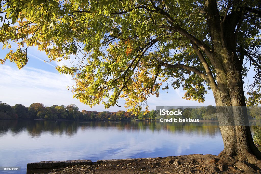 Herbst Baum und See - Lizenzfrei Brooklyn - New York Stock-Foto