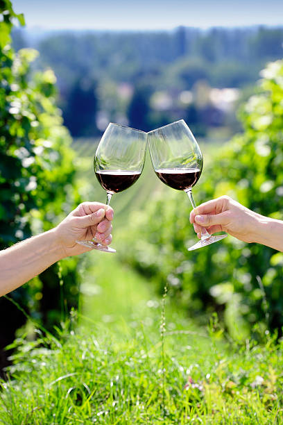 istock Toasting with two glasses of red wine in the vineyard 157674101