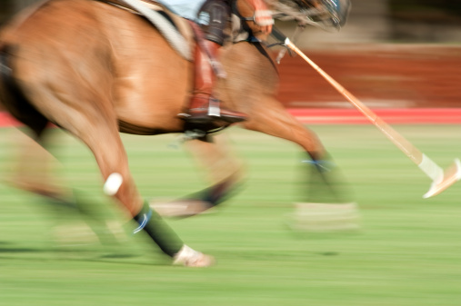 Polo with motion blur