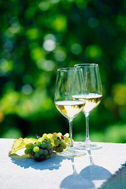 istock Two glasses of white wine in vineyard 157674288