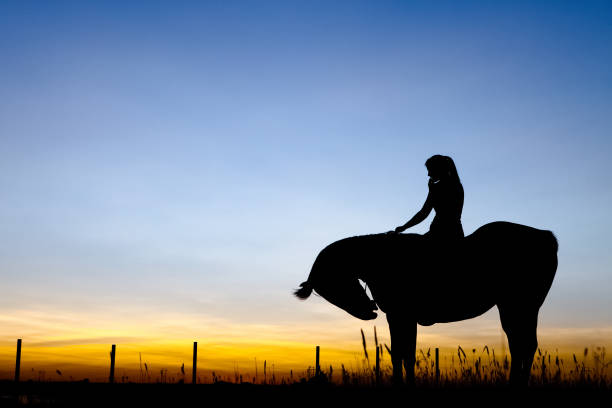 istock Horse And Rider At Sunset 157674348
