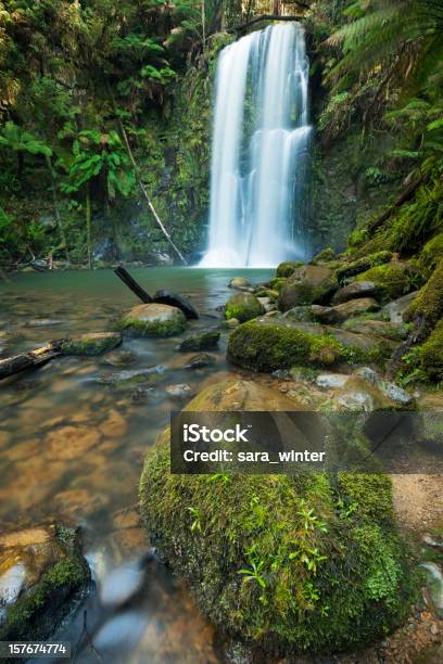 Photo libre de droit de Forêt Tropicale Deau De Chutes Beauchamp Dotway Np Victoria Australie banque d'images et plus d'images libres de droit de Cascade