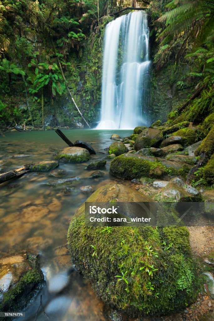 Floresta pluvial cascatas, Cataratas de Beauchamp, de Otway NP, Victoria, Austrália - Royalty-free Cascata Foto de stock