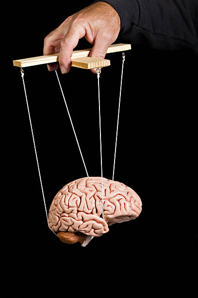 Mind Control. Brain suspended from puppet strings. A concept shot for all forms of mind control. Shot on a black background. Marionette stock pictures, royalty-free photos & images