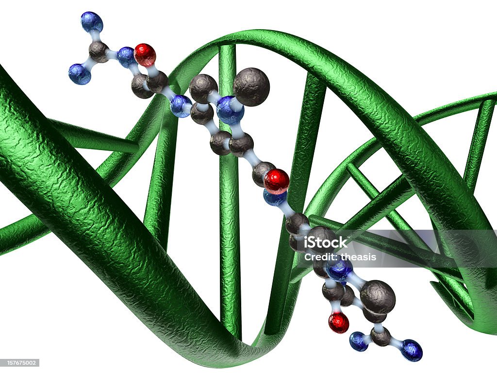 Modelo de uma droga aos antibióticos vinculativo de DNA - Foto de stock de Alimento Transgênico royalty-free