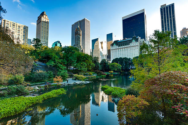 central park in new york city - midtown manhattan stock-fotos und bilder