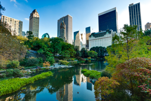 Central Park in New York City 
[url=/search/lightbox/7017035][IMG]http://farm3.static.flickr.com/2540/4008616250_4108b7faba.jpg[/IMG][/url]