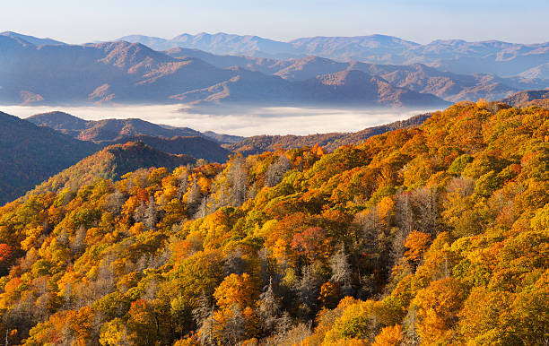 베스키드 (beskid) 산의 가을 숲 및 ��산 - great smoky mountains national park 뉴스 사진 이미지