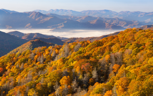 Mountains, morning fog, and autumn foliage  