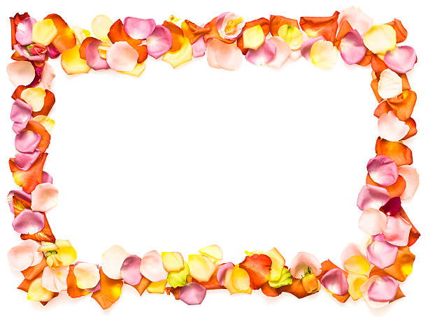 istock Border of Roses 157675460
