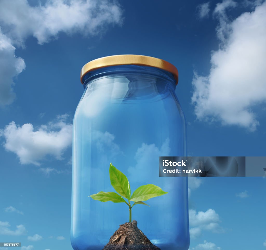 Planta joven verde capturado en el frasco de vidrio - Foto de stock de Agricultura libre de derechos