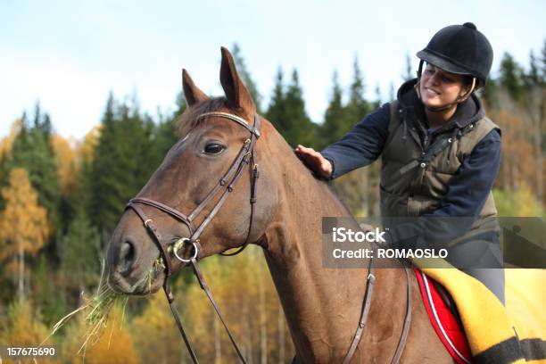 Girl 乗馬森林のnorway - 乗馬のストックフォトや画像を多数ご用意 - 乗馬, 若い女性, ウマ