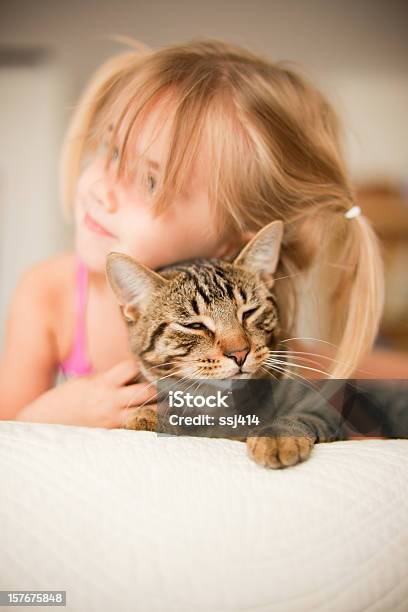 Kleines Mädchen Mit Ihrer Katze Bauchlage Stockfoto und mehr Bilder von Geschlossen - Allgemeine Beschaffenheit - Geschlossen - Allgemeine Beschaffenheit, Hauskatze, Katzenartige