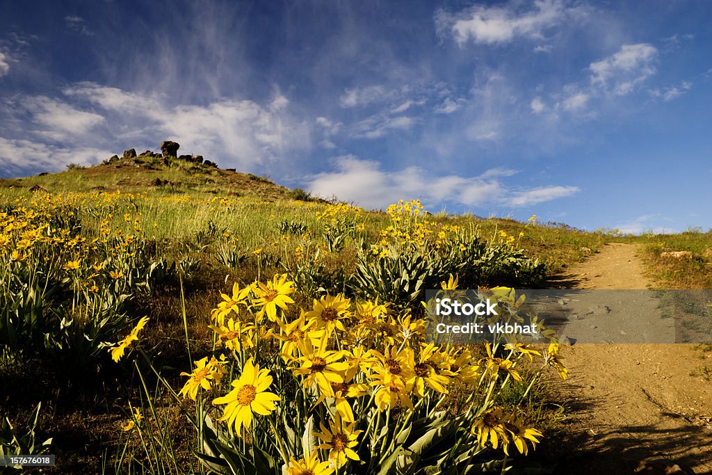 Paesaggio di primavera - Foto stock royalty-free di Aprile