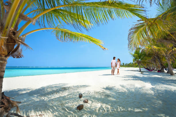 istock Young couple walking along a lonely Tropical island beach 157676251