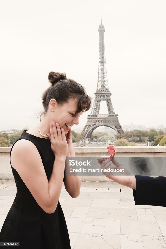 Proposition à Paris en face de la Tour Eiffel, à la verticale. - Photo de Paris - France libre de droits
