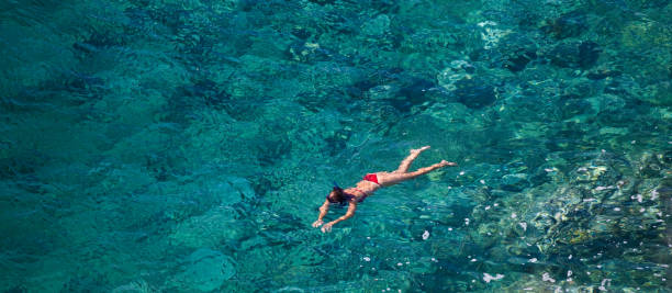 istock Snorkeling in the Mediterranean sea 157676682