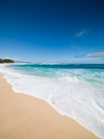 White waves wash upon a sandy beach in Oahu, Hawaii.  Tropical plants and the deep blue of the Pacific Ocean can be seen in the distance.