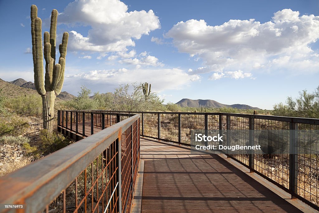 Most do Great Południowo-Zachodnie - Zbiór zdjęć royalty-free (Scottsdale)