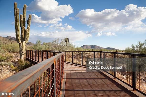 Most Do Great Południowozachodnie - zdjęcia stockowe i więcej obrazów Scottsdale - Scottsdale, Stan Arizona, Ścieżka