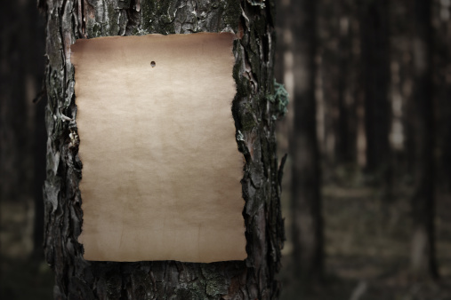 Old paper on tree trunk in dark forest