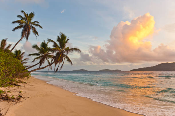 istock Sunrise on deserted tropical island beach palm trees ocean surf 157677073