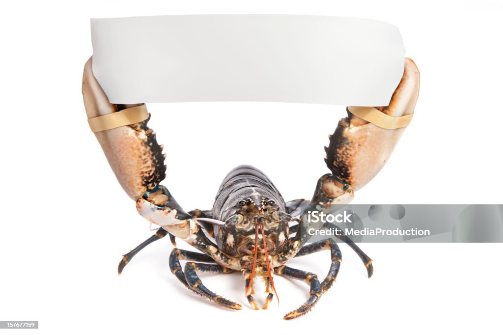 Lobster, держащий знак - Стоковые фото Омар роялти-фри