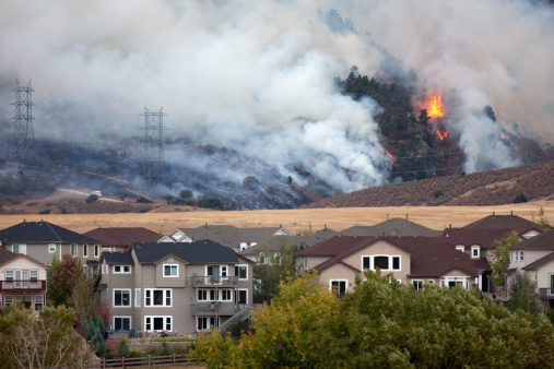 Pine trees and scrub oak burn behind homes at the Wadsworth Ridge fire outside Denver Colorado on October 12, 2010. It is estimated to have burned 400 acres is in Jefferson County, near the Douglas County line close to Waterton Canyon and South Wadsworth Boulevard.\u2028The cause is still under investigation. The location is behind a rifle firing range.