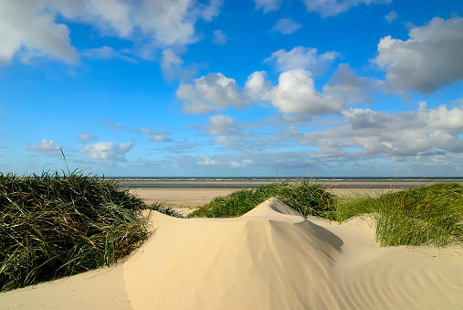 Dunes on the island of Borkum, Germany