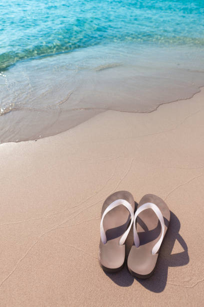 istock Stereotypical image of summer holidays 157677264