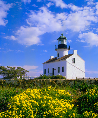 Point Loma Lighthouse With Spring Flowers Near San Diego, California