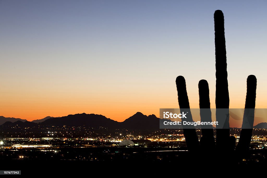 Silhueta de Saguaro no deserto luzes da cidade - Foto de stock de Scottsdale royalty-free