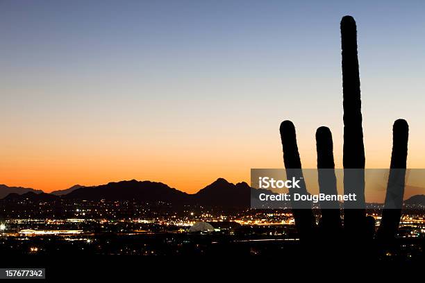 Foto de Silhueta De Saguaro No Deserto Luzes Da Cidade e mais fotos de stock de Scottsdale - Scottsdale, Arizona, Pôr-do-sol