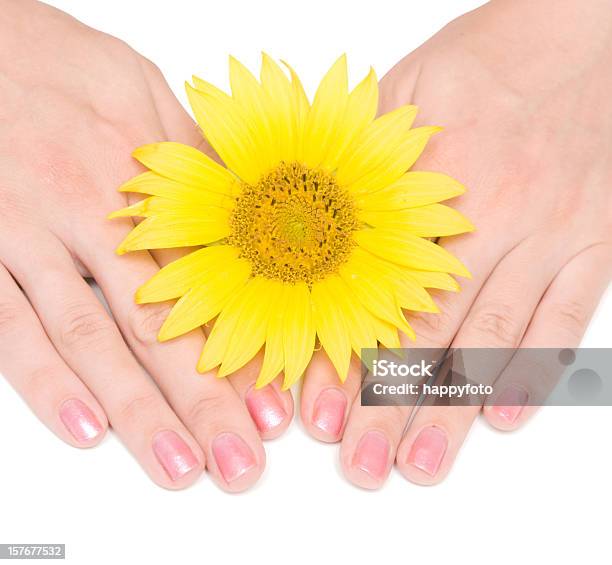 Mulher As Mãos - Fotografias de stock e mais imagens de Adulto - Adulto, Amarelo, Beleza