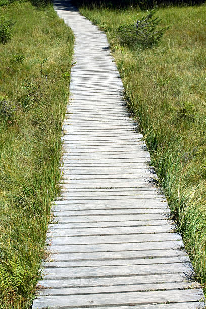 istock Alpine wooden Trekking footway 157677564