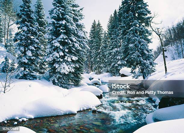 Nívea Cascade Creek En Lake Tahoe California Foto de stock y más banco de imágenes de Invierno - Invierno, Nieve, Paisaje no urbano
