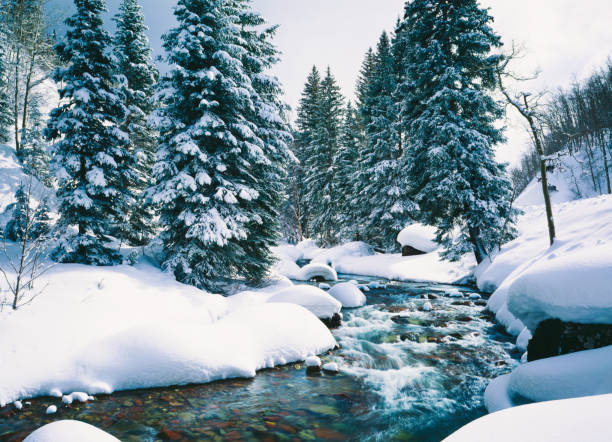 Snowy Cascade Creek In Lake Tahoe, California Fresh Winter Snow Covers Forest Along Cascade Creek At Lake Tahoe,Calif. snowy river stock pictures, royalty-free photos & images