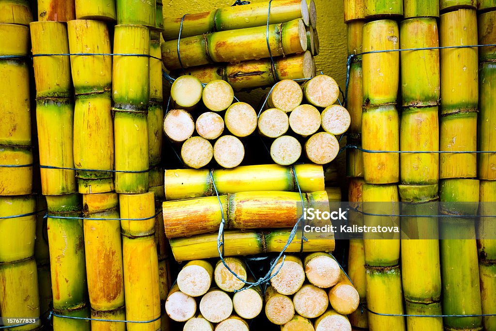 Raw sugar cane - Lizenzfrei Zuckerrohr Stock-Foto