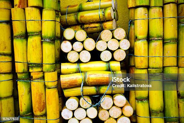 Raw Sugar Cane Stockfoto und mehr Bilder von Zuckerrohr - Zuckerrohr, Nutzpflanze, Ecuador