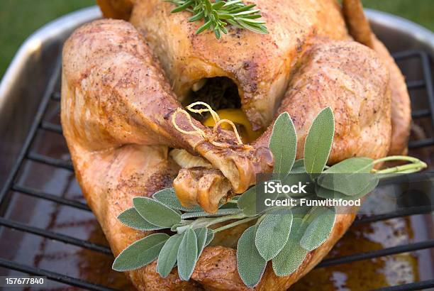 Molde De Horno Con Especialidades Asadas De Turquía La Cena Del Día De Acción De Gracias Fondo De Vacaciones De Navidad Foto de stock y más banco de imágenes de Al horno