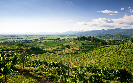 Panoramic view from the top over the zone of Collio in region of Friuli Venezia Giulia, north-east of Italy.