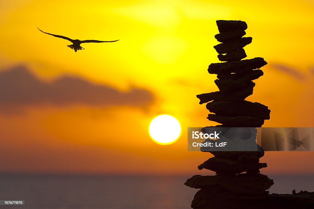 Stack of stones at sunset with flying seagull Closeup of a stack of stones in Formentera island against the sunset with a seagull flying in the sky. Achievement Stock Photo