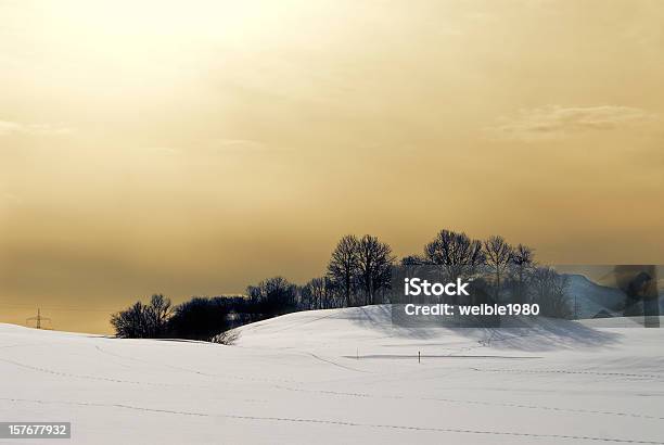 Winterlandschaft Mit Büschen Und Golden Sky Stockfoto und mehr Bilder von Abenddämmerung - Abenddämmerung, Abstrakt, Baum