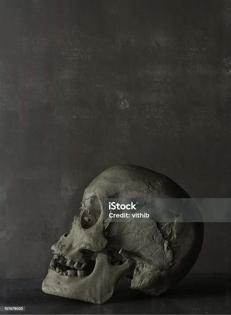 Cráneo humano - Foto de stock de Anatomía libre de derechos