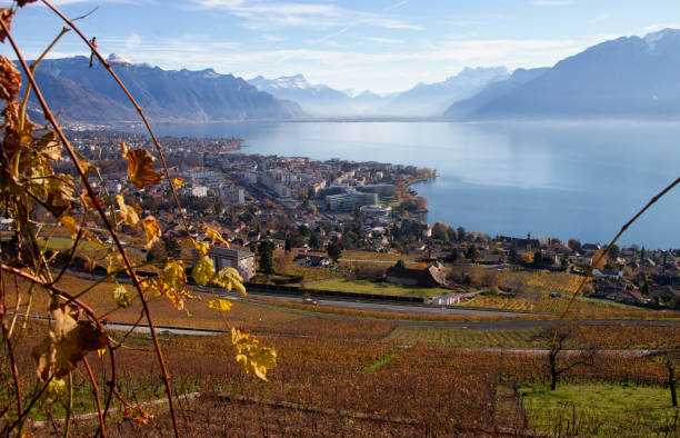 istock Vevy, Switzerland in Autumn 157678047