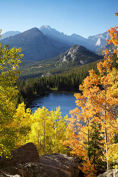 Autumn Sunrise Over Lake Bear Lake in Rocky Mountain National Park, Colorado. Aspen trees in full autumn color. rocky mountain national park photos stock pictures, royalty-free photos & images