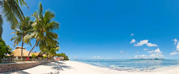 istock Paradise beach resort idyllic tropical island palm trees ocean panorama 157678101