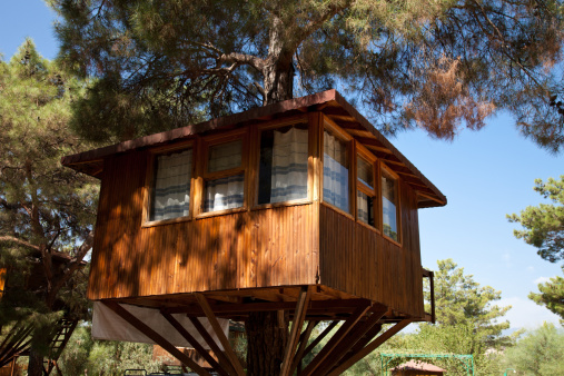 Tree houses, treehouses, or tree forts, are buildings constructed among the branches, around or next to the trunk of one or more mature trees, and are raised above the ground. Tree houses can be used for recreation, work space, habitation or as temporary retreats.
